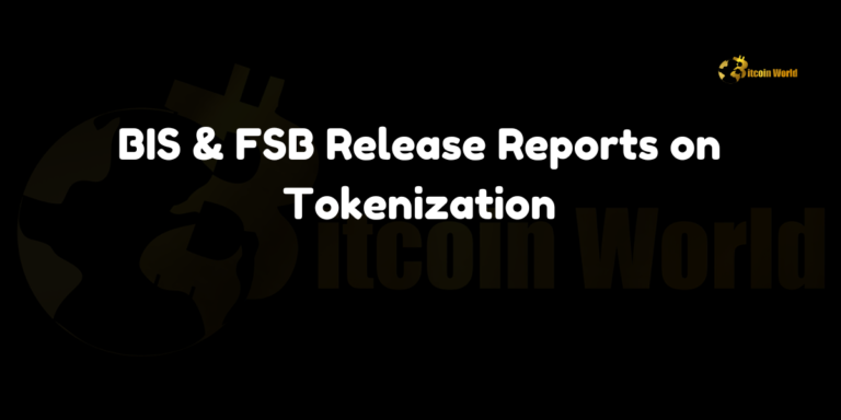 BIS & FSB Release Reports on Tokenization